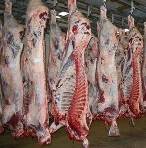 Halal Fresh / Frozen Goat / Lamb / Sheep Meat for export