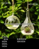 hanging air plant glass bubble vase