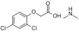 High-Efficiency Herbicide-2, 4-D 600g/L SL(dimethylamine salt) with CAS No. 2008-39-1