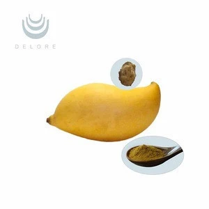 High quality Loss weight ingredient irvingia gabonensis extract African Mango Seed Extract