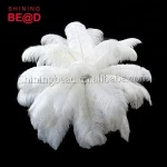 High quality wedding party table decoration white ostrich feather