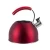 High-temperature paint water kettle stainless steel teapot hot water kettle whistle tea kettle
