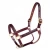 Import Horse Printed full color Leather Horse Halter HORSE Halter Best Quality Available All Colors For from India