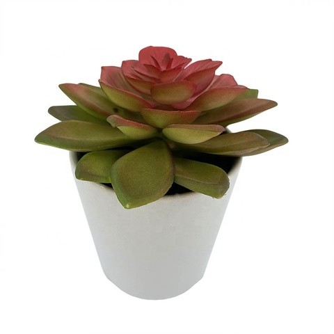 Hot sale Ceramic Pot Artificial Succulent Plants