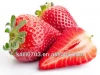 Hot sale fresh strawberries in dandong with fruits wholesale