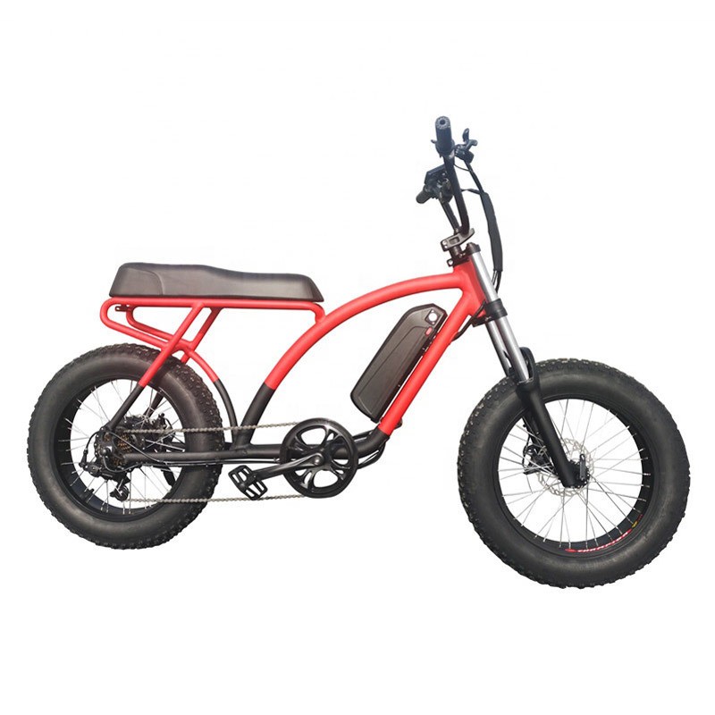 Hot Selling 500W Motor Electric Fat Tire Ebike with Lithium Battery, Electric Bike (ML-FB012)