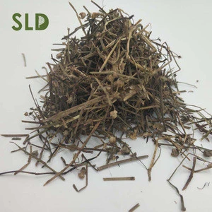 Hot Selling Chinese Medicine She Cao Dried Hedyotis Diffusa on Sale