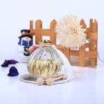 Hot Selling Glass Car Diffuser Perfume Bottle Air Freshener car freshener