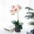 Import Hot Selling Pinrui New Home Decoration Plastic Potted home furnishings artificial orchid bonsai from China