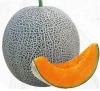 Hybrid F1 musk cantaloupe melon seeds for sale