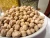 Import INDIAN HIGH QUALITY CHICK PEAS IN ALL SIZES BIG & SMALL FOR SALE from India