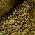 Import Indonesia Robusta Coffee Ungaran Small Size-Dry Process from Indonesia