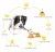 Import Interactive Fun Pet Molar Chew Bite Ball Toy with Suction Cup Dog Tooth Cleaning Tool Dog Toy from China