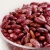 Import Kidney Beans, Light Speckled Kidney Beans Red Beans from South Africa
