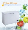 Kitchen appliance good performaced solar 12 volt scrap sea urchin semitrailer freezer