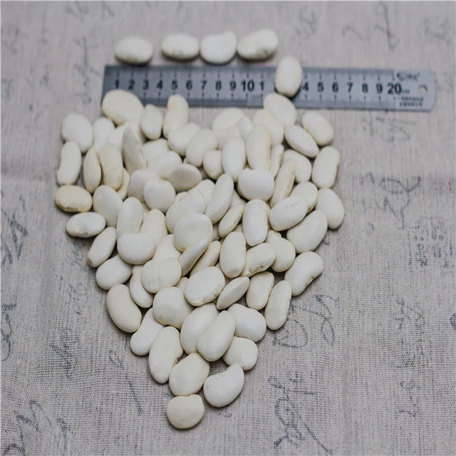 large Yunnan 2020 crop dried white kidney beans