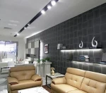 LED COB 30W LED Track Spot Light