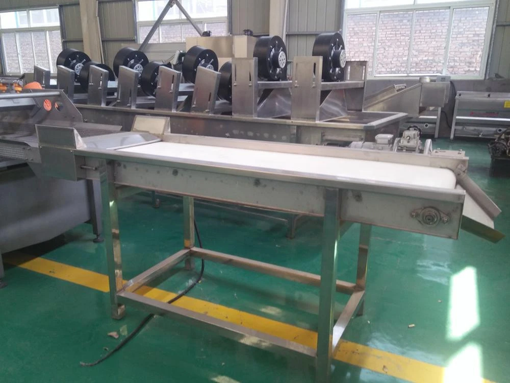 LIJIE PVC fruits and vegetable continue conveyor