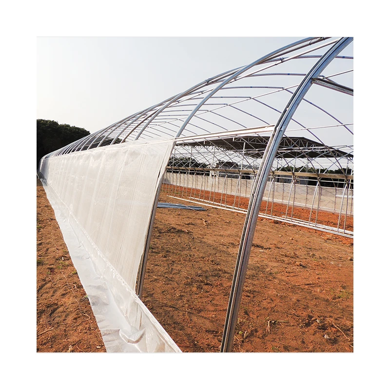 Low cost greenhouse China factory manufacture covered plastic film in wholesale