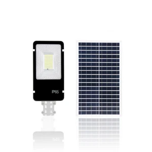 Low price mini 30w 60w 100 watt wall mounted  solar street light