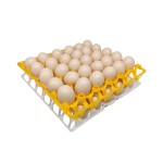 Manufacturer Well Made Egg Trays Cheap Disposable Clear Plastic Egg Trays