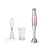 Import mini portable stand hand blender mixer 200-400w from China