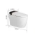 Import Modern Intelligent Automatic Automatic Operation Concealed Tank Dual-Flush Smart Toilet from China