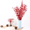 Most popular beautiful preserved Valentine&#39;s fruit for wedding &amp; home decoration