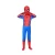 Import Movie Game Costume Parent-children Parallel Universe Black Spider Jumpsuit Adult Anime Cosplay Spiderman Halloween Costume from China
