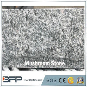 Natural Stone Grey Granite for Mushroom Stone and Feature Wall