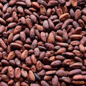 Naturally dried Cocoa beans for sale