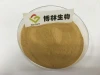 Fresh Burdock Root Powder Extract For Burdock Root Tea Males Function
