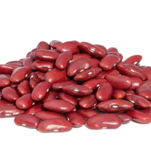 NEW CROP BEST QUALITY BEANS DRY PINTO BEANS LIGHT SPECKLED KIDNEY BEAN FOR SALE