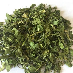 New crop dried vegetables product dehydrated coriander leaves