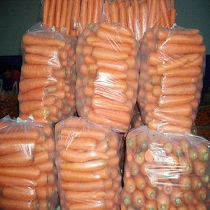 New Crop Fresh Carrot for Sale At Competitive Price