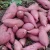 Import new crop sweet potato in high quality from China