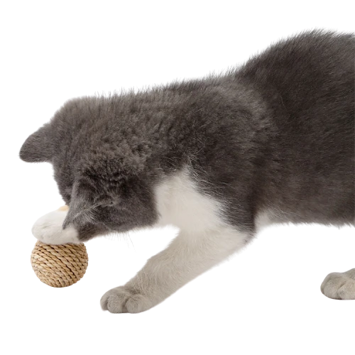 New Fashion Cat Toy Interactive Chew Low Price Pet Cat Toy Feather Bells Cat Toy Set