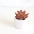 Import New Modern style China Supply Succulent potted cheap wholesale artificial plant from China