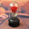 New Products rose flower Preserved with Led Lights in Glass Dome Craft Gift