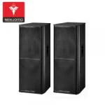 NEWJOMO professional Passive audio stage speaker with Double 15