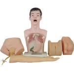 Nurse Basic Practice Teaching Model Medical Manikins
