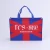 Import Oem Eco-friendly Multi-colors Non-woven Shopping Bags Non Woven Eco Bag from China