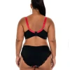 OEM Manufacturer Printed Mesh Sexy Plus Size Bra &amp; Brief Sets Women Underwear Set