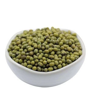 Organic Common Cultivated Export Green Mung Beans for Sale