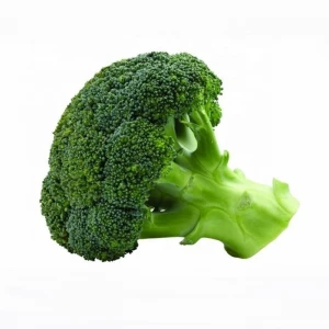 Organic Freeze Dried Broccoli  Wholesale  Lyophilization Vegetables Slice