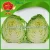 Import Organic Fresh green cabbage from china from China