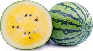 ORGANIC HIGH QUALITY FRESH YELLOW BABY WATERMELON - BEST PRICE FOR WHOLESALE FROM VIETNAM TYPE 3