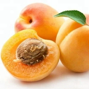 Organic Sun Dried Apricot, Dried Apricot