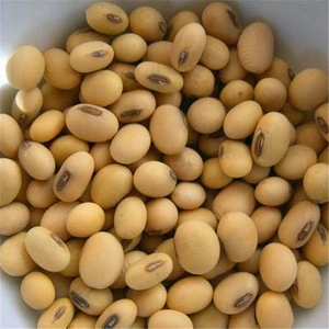 Organic/Dried/Frozen soybean for sale
