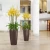 Import Outdoor Tall Planters Plastic Pots from China